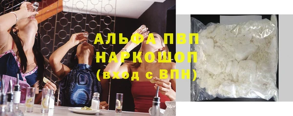 стаф Покачи
